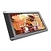 2019 Huion KAMVAS 16 Drawing Pen Display Monitor Graphic Monitor Tilt Function Battery-Free Stylus 8192 Pen Pressure - 15.6 Inches