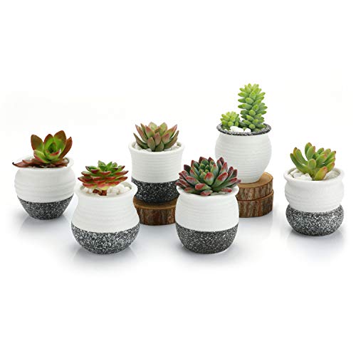 Best Pot Set For Table