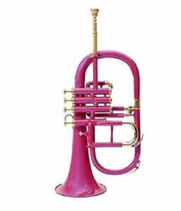 크리스마스 스페셜 F25 FLUGELHORN 핑크 BB 4 밸브 무료 하드..