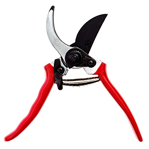 Buy Pilova 8" Professional Bypass Pruning Shears Non Stick SK5 Steel