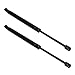 Maxpow 2Pcs Hood Lift Supports Struts Compatible With 1998-2005 GS300 4536