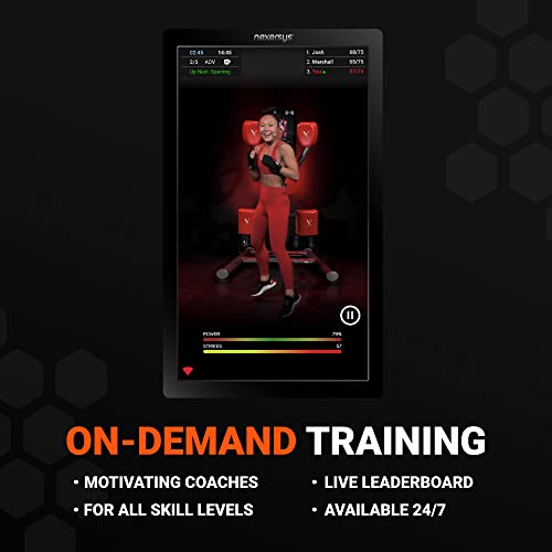 Unleash Your Inner Boxer: A Review of the Nexersys N3 Interactive Boxing Trainer