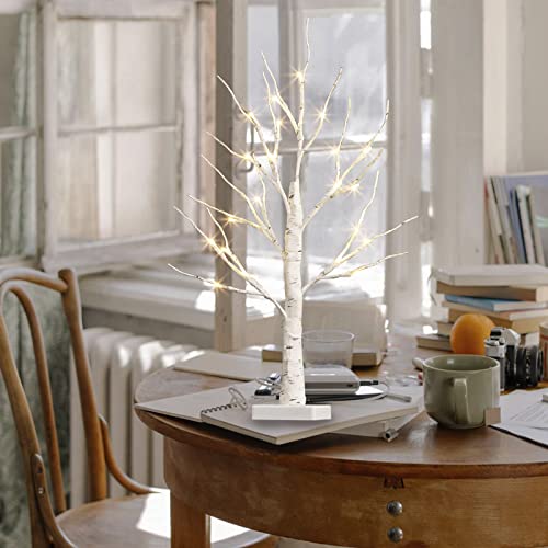 image for PEIDUO 24” 2FT 24LT Lighted Birch Tree Battery Powered Timer Warm Wh