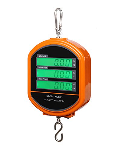 CGOLDENWALL Bilancia portatile per prezzi al dettaglio 30 kgx0,01 g, bilancia elettronica per pesare di precisione da cucina con certificato CE con telecomando (arancione)