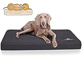 Sehr pflegeleichtes und hygienisches Hundebett, hochwertig verarbeitet