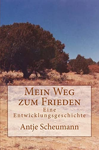 Mein Weg zum Frieden: Eine Entwicklungsgeschichte (German Edition)