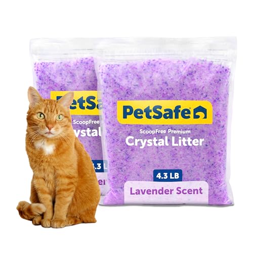 PetSafe ScoopFree Premium Crystal Cat Litter - Outperforms Clay Litter - Refill Packs - Reusable Tray Compatible - Lavender Scent - 4.3 lb Bags - 2 Pack