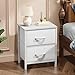 Sweetcrispy Nightstand with 2 Storage Drawers, 20