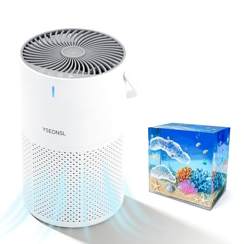 Dedicated Resin Air Purifier