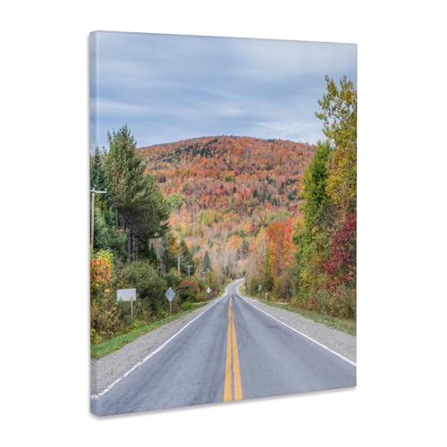 3dRose Canada, Quebec, Eastern Townships, Country Road with autumn color. Museum Grade Canvas Wrap 11x14