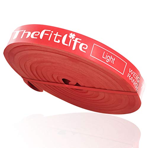 TheFitLife Resistance Pull Up Bands - Pull-Up Assist Exercise Bands, Long Workout Loop Bands for Body Stretching, Powerlifting, Fitness Training, Bonus Carrying Bag and Workout Guide