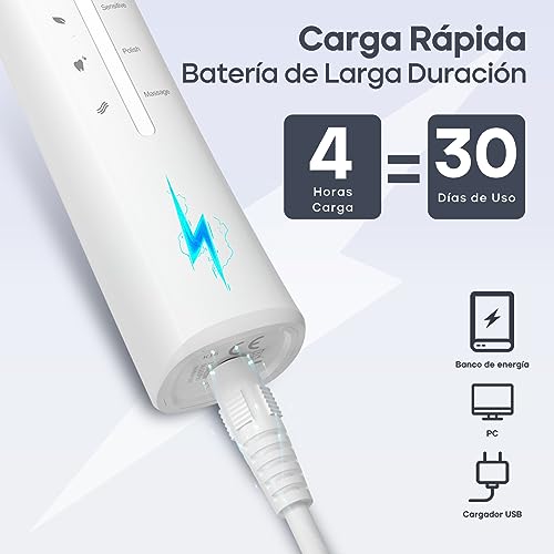 Seago cepillo de dientes eléctrico sónico, cepillo electrico con 8 cabezas, carga USB, cepillo de dientes eléctrico ultrasónicos 5 modos y temporizador, IPX7 Impermeable, para viaja (blanco) - imagen 6