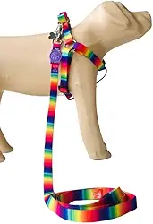 Conjunto Peitoral Coleira com Guia para Cachorros com Pingente para Identificação PP, Tamanho Ajustável, Confortável e Resistente