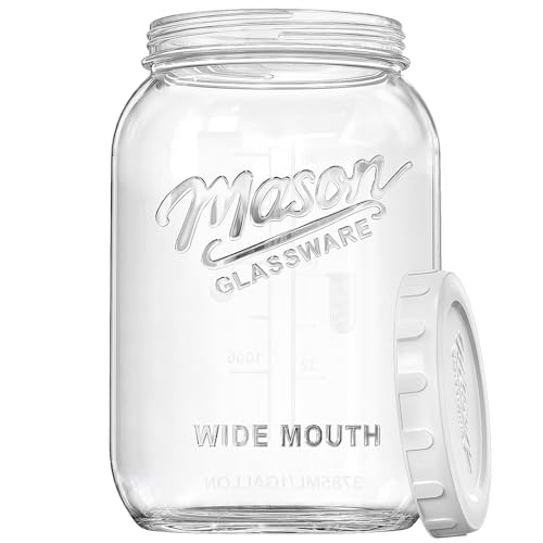 Dwbligt 1 Gallon Glass Mason Jar with Airtight Lid 1 Pack Canning Jar
