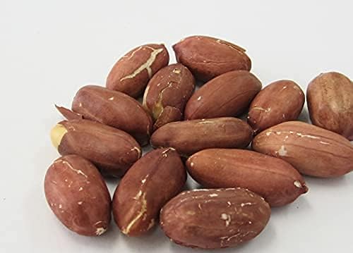 Amazon ピーナッツ 渋皮付き 素焼き ロースト 無塩 1kg ヨコイピーナッツ 名古屋 ヨコイピーナッツ ナッツ 通販