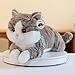 19 inch 3 Lbs Cat Weighted Stuffed Animals, Realistic Weighted Cat Stuffed Animal, Sensory Comfort Plush Throw Pillow, Soft Kawaii Stuffed Kitty Plush Toy Gift for Adults Kids Youth