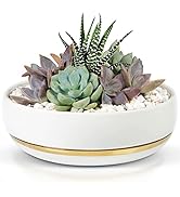 Small manufacture image 11