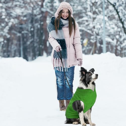 Hundemantel Mit Geschirr für Kleine Hunde - Hundepullover, Chihuahua Kleidung, Wintermantel für Innen und Außeneinsatz (Grün, L)