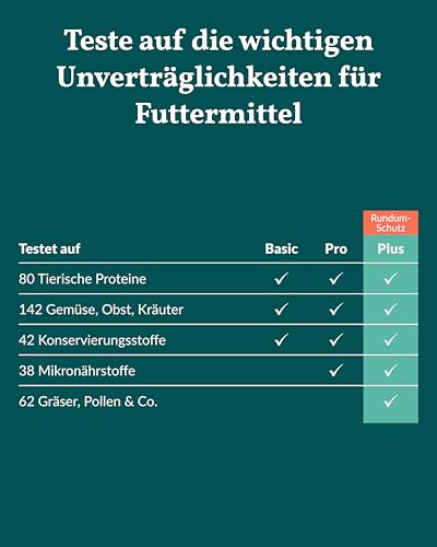 vetevo Allergietest Plus Hund, Unverträglichkeitstest Hunde, bei Juckreiz & Niesen, 360+ Futtermittel Unverträglichkeiten, Gräser, Pollen & Co
