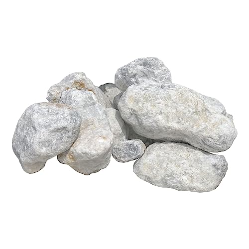 白色花状化石 石灰岩 白色花状化石 石灰岩 G7 田穂の石灰岩｜ジオ