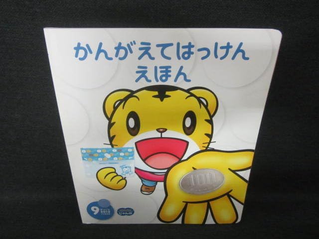 Amazon.co.jp: かんがえてはっけんえほん 2012.9/VAQ : おもちゃ