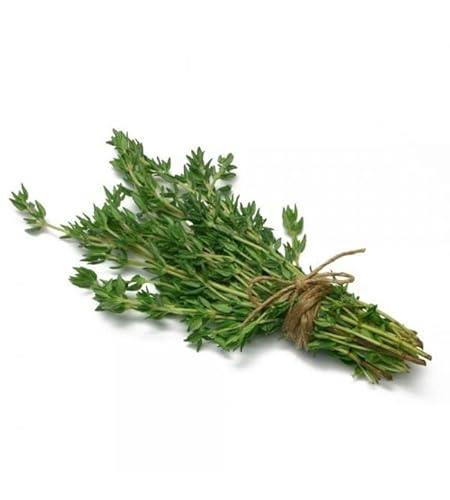 Semillas de Tomillo Natural para Sembrar en Casa