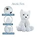 The Petting Zoo Arctic Fox Stuffed Animal Plushie, Gifts for Kids, Wild Onez Wildlife Animals, Fox Plush Toy 9 inches