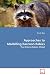 Approaches to Modelling Raccoon Rabies