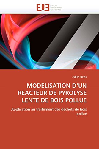 MODELISATION D'UN REACTEUR DE PYROLYSE LENTE DE BOIS POLLUE: Application au traitement des déchets de bois pollué (Omn.Univ.Europ.) (French Edition)