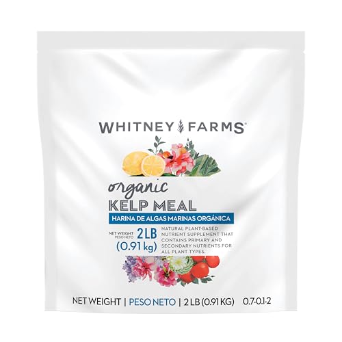 Whitney Farms Organic Kelp Meal 0.7-0.1-2 - Seaweed Fertilizer for Plants Soil Conditioner for Vegetables Flowers Roses and Shrubs 2 lb.