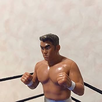 Amazon.co.jp: NOAH 秋山準 全日本プロレス 新日本 ZERO-ONE DDT