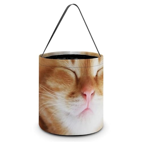 �n���E�B�� �L�����f�B�o�X�P�b�g ���� ����L �L�����f�B�� ���َq �R���e�i ��񂰑� �y�� ������p�[�e�B�[�L�O�i �v���[���g ���O�W��p