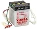 Yuasa YUAM2648A Lead_Acid_Battery