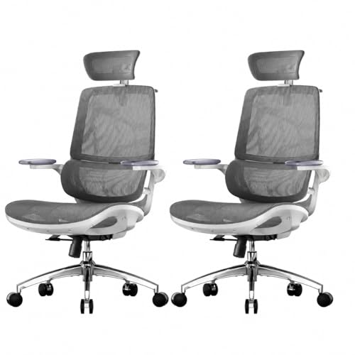 SIHOO Ergonomic Office Chair, Desk Chair with 3D Flip-up Armrests, Computer Chair with Dual Back Design and Adaptive Dynamic Lumbar Support (2 Packs Ash Gray)
