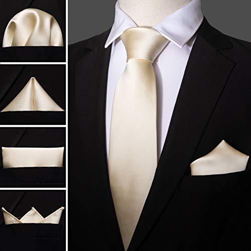 Image of Barry.Wang Plain Men Silk Ties Extra Long Satin Necktie for Wedding Business Handkerchief Cufflinks Set Solid Colors