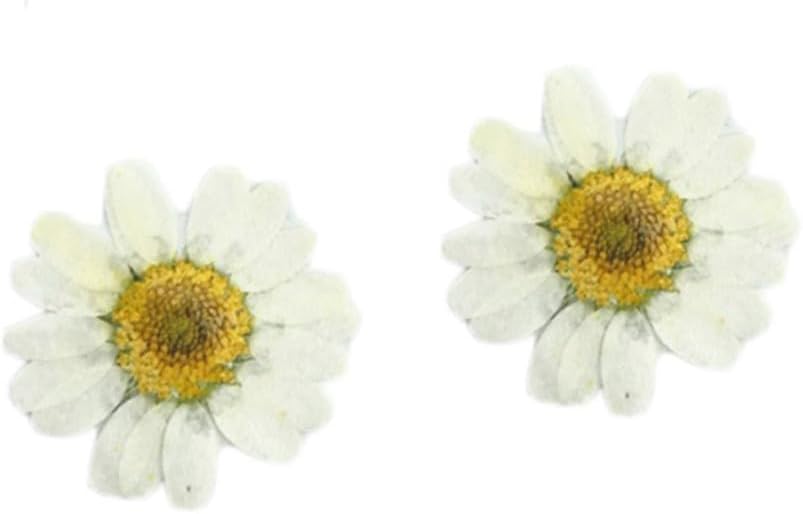 12Pcs White Dried Daisy Flowers DIY Pressed Flower Nail Art Accessories Handmade Craft Materials for Jewelry Photo Frame Decoration