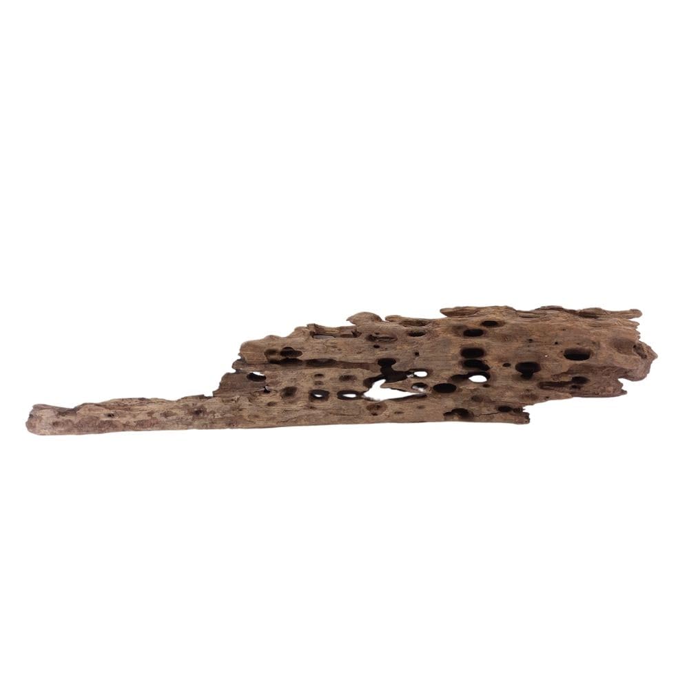 XL Honey Comb Raíz nº 1932 Acuario Raíz Mangrove Madera Decoración Paisaje Musgo Naturaleza Madera Auténtica