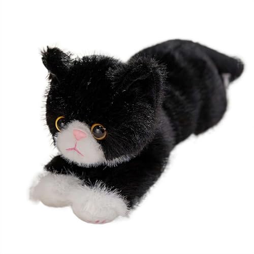 Lʂ A { S40cm  ʂ ӂӂ  lR ܂ NbV  킢l` YQ܂ G GObY N LO X [sAi]