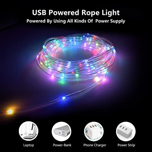 Glpe Led Rope Lights With Usb Powered, 2 Pack X 33Ft 100 Leds Rope Lights Outdoor Waterproof, Tube Lights With 16 Color Changing, Fairy Lights For Christmas, Garden, Party,Camping #TOP1