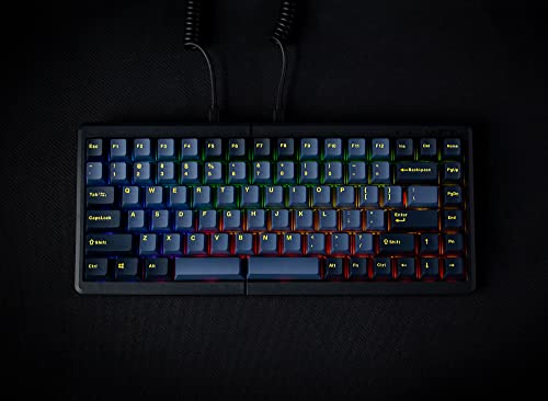 Mistel Barocco Md770 Rgb Wired + Wireless Bluetooth Tkl Split Mechanical Keyboard With Cherry Mx Blue Switch, Ergonomic Gaming Keyboard, Yellow Letter Glaze Blue Pbt Doubleshot Keycaps, Macro Support #TOP5