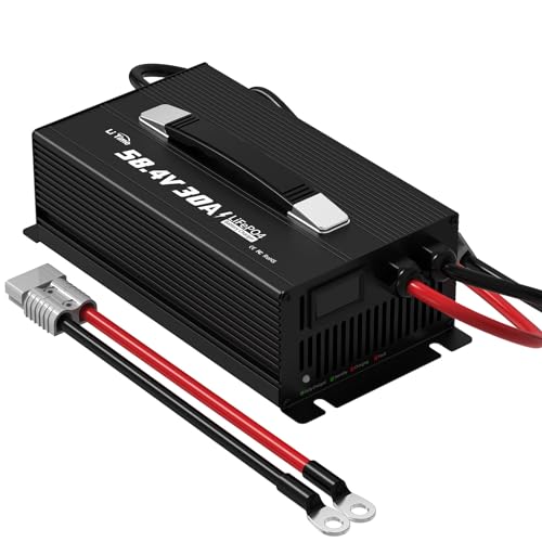 LiTime 51.2V/48V 30A LiFePO4 Lithium Battery DC Charger – Smart 3?Stage Golf Cart Battery Charger with LED Display, Dedicated for Deep Cycle Rechargeable Batteries of Boat, RV