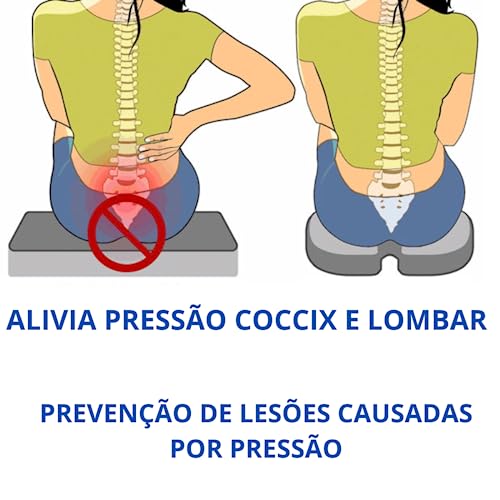 Almofada Ortopédica Cóccix Lombar Relaxante Coluna Proteção