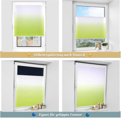 Buseu Plissee Klemmfix ohne Bohren 70x110cm Grün Faltrollo Plisseerollo – Ansicht 6