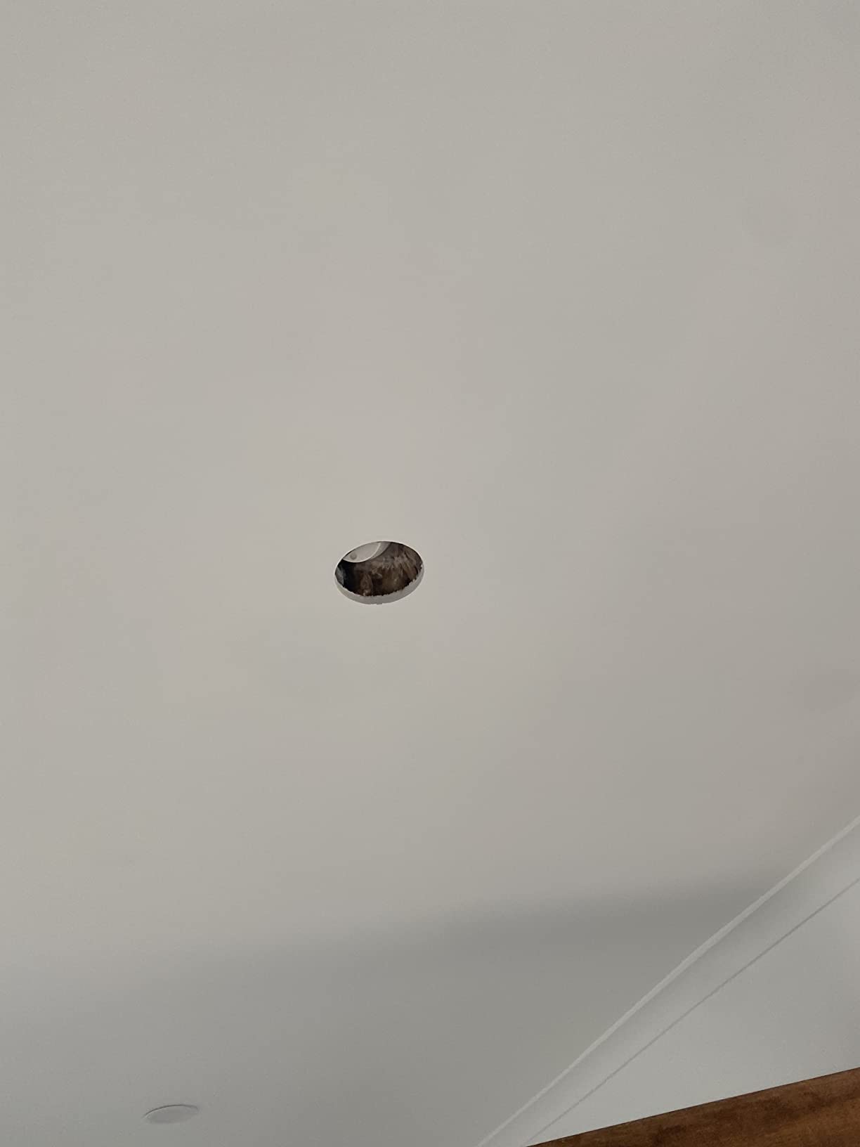 Dremel 67801 Circle Cutter and Straight Edge Guide, Silver Amazon