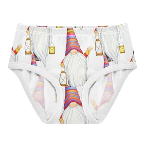 Toddlers Underwear Floral 2t Cotton Panties Little Girl Flower Briefs Kids Undies Whimsical Cute Gnomes White