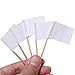Senkary 100 Pack Blank Toothpick Flags Paper Food Signs Cheese Markers Cheese Labels for Charcuterie Board Accessories (White)