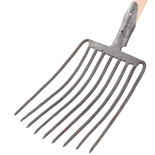 BAUSTER® Fourchette à pommes de terre 9 dents avec manche 115 cm Fourche à fumier agricole, fourchette à foin, fourchette à betterave, fourchette à foin, fourchette de jardin, fourchette robuste avec