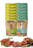 Alimento Natural casero para Perros, húmedo con Carne Fresca y Verduras Frescas - 90%...