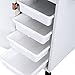 Winado Hair Salon Storage Cart with Wheels & 3 Hair Dryer Holders & 4 Drawers & Lock & 2 Keys, Hairdressing Tools Station Mobile Makeup Case, SPA Utility Trolley (White)