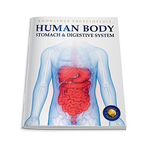 Image of Human Body - Stomach And Digestive System: Knowledge Encyclopedia For Children